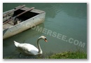 boat__quatrass.jpg