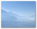 comersee.jpg