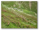 dscn0197.jpg