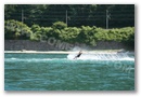 wasser_ski_am_comersee.jpg
